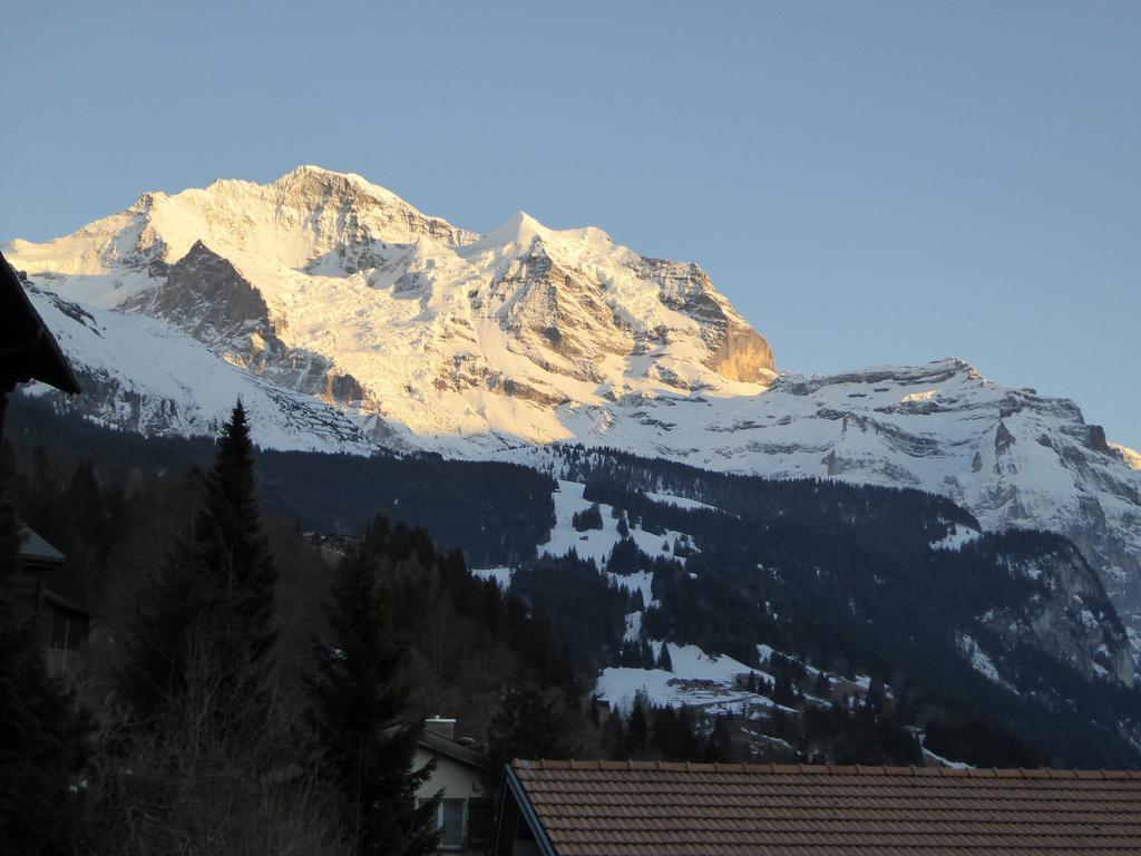 Apartament Chalet Gerbera Wengen Pokój zdjęcie