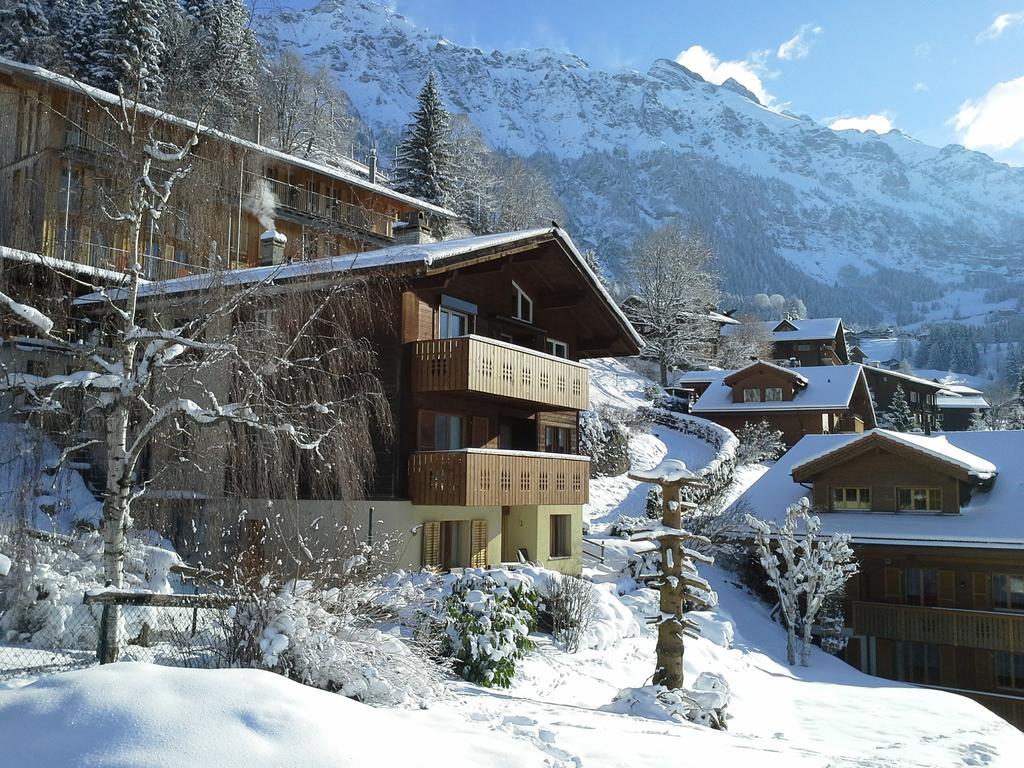 Apartament Chalet Gerbera Wengen Pokój zdjęcie