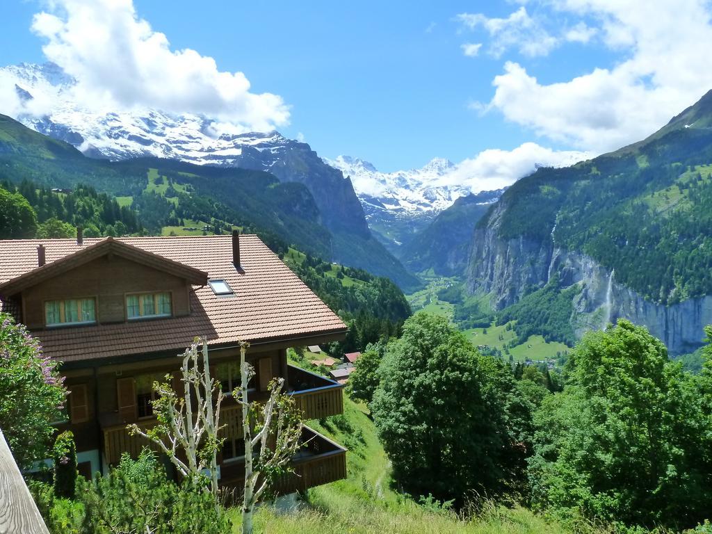 Apartament Chalet Gerbera Wengen Zewnętrze zdjęcie