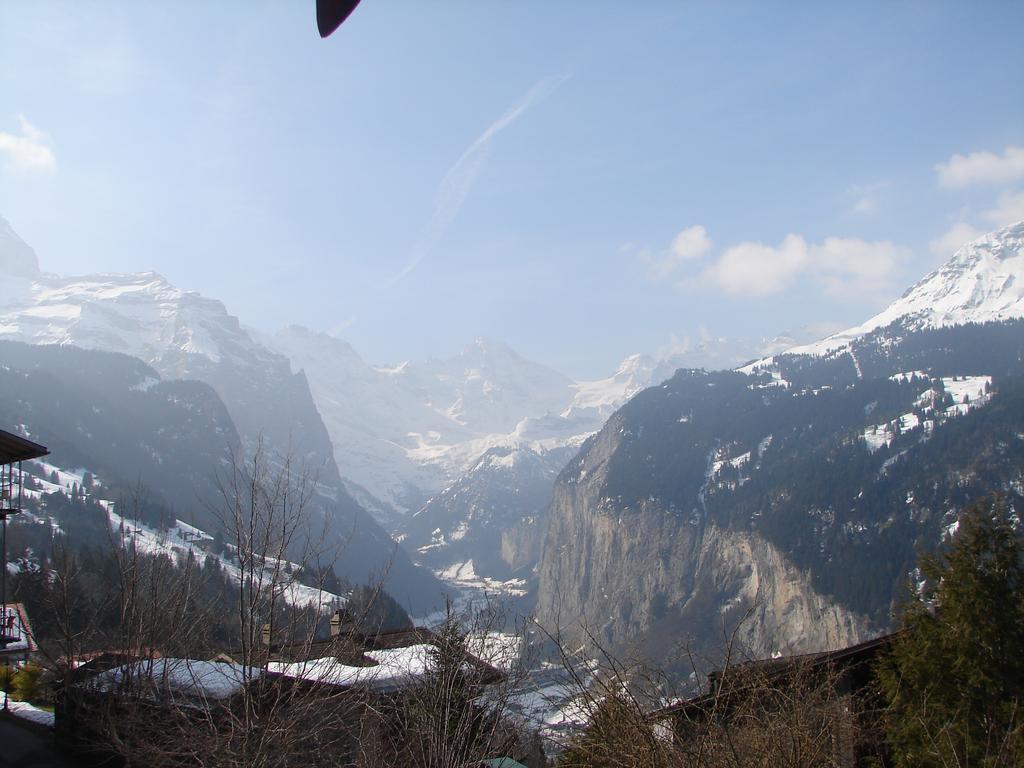 Chalet Gerbera Wengen Pokój zdjęcie