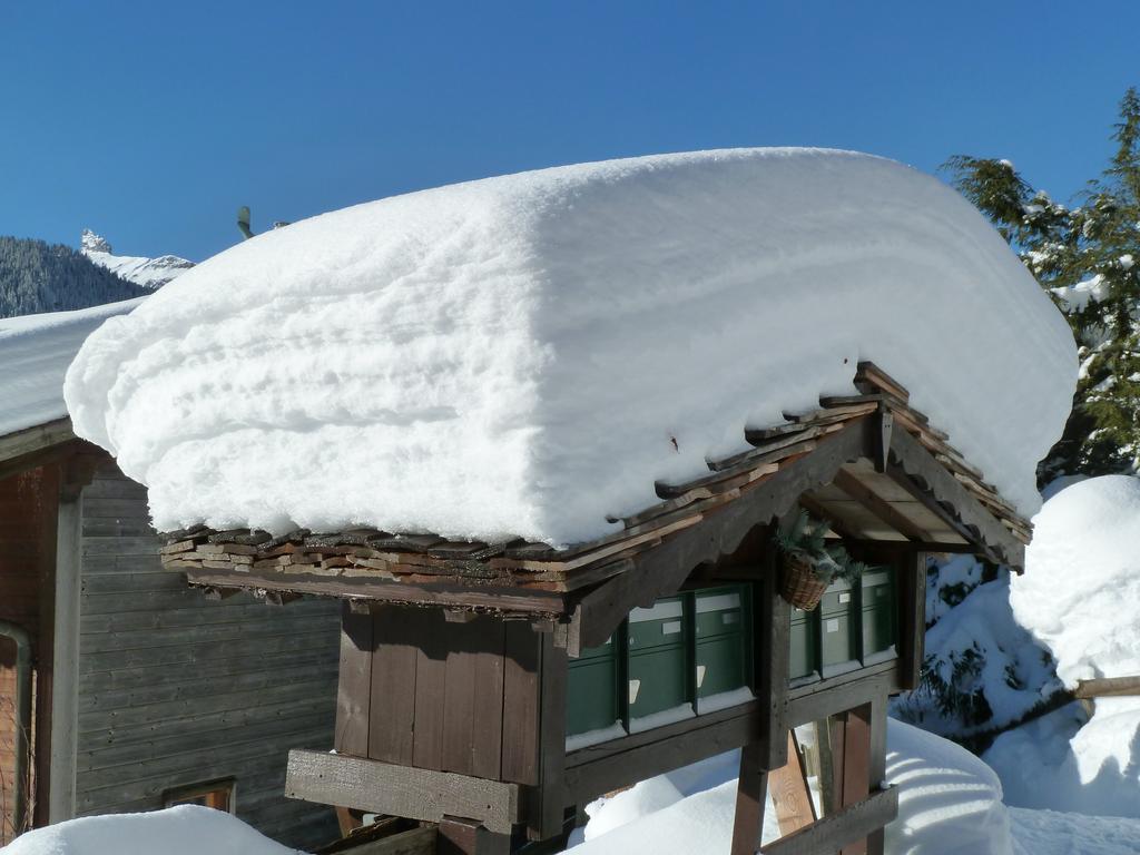 Apartament Chalet Gerbera Wengen Zewnętrze zdjęcie