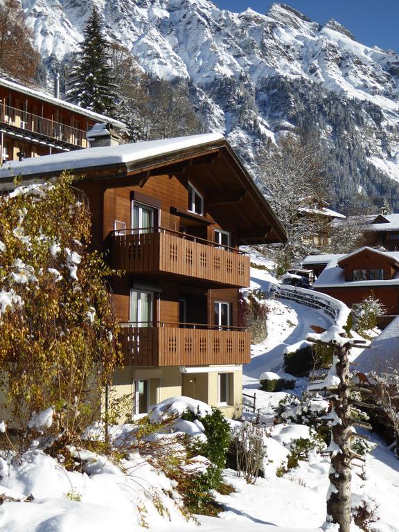 Apartament Chalet Gerbera Wengen Zewnętrze zdjęcie