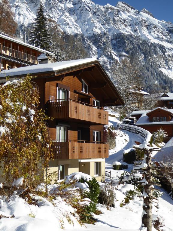 Chalet Gerbera Wengen Zewnętrze zdjęcie
