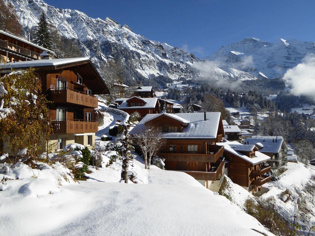 Apartament Chalet Gerbera Wengen Zewnętrze zdjęcie