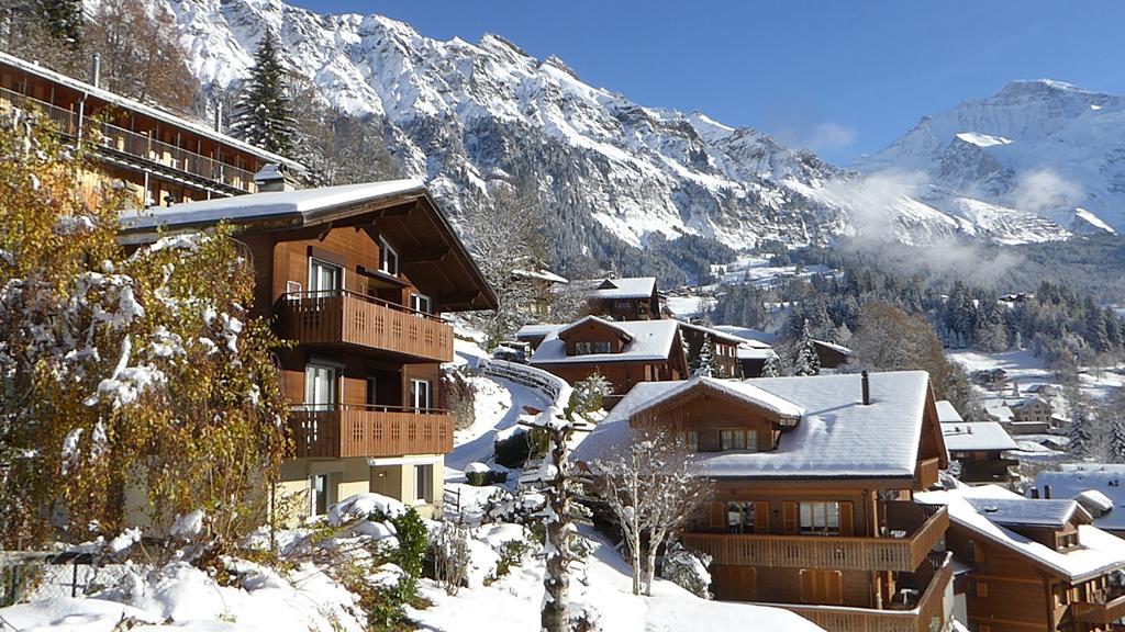 Apartament Chalet Gerbera Wengen Zewnętrze zdjęcie