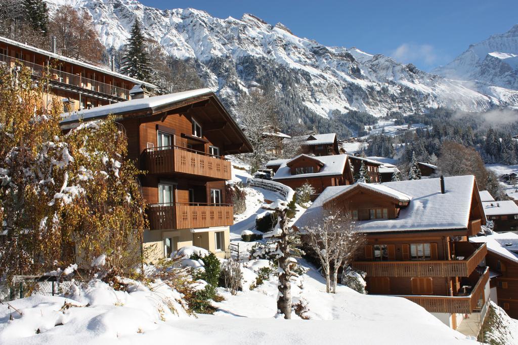 Apartament Chalet Gerbera Wengen Zewnętrze zdjęcie